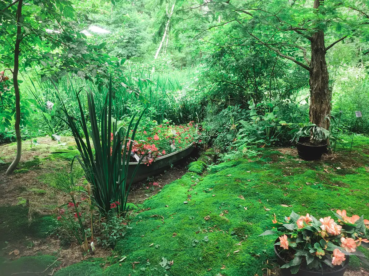 Residential lawn and grounds care