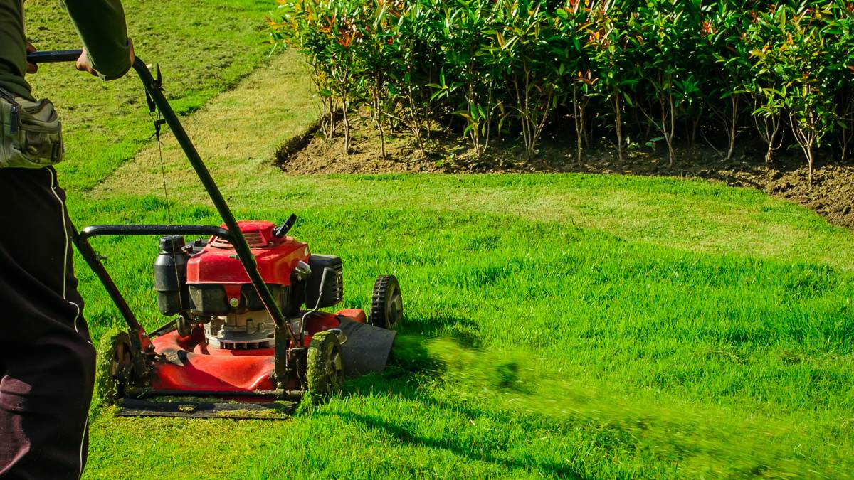 Landscaping