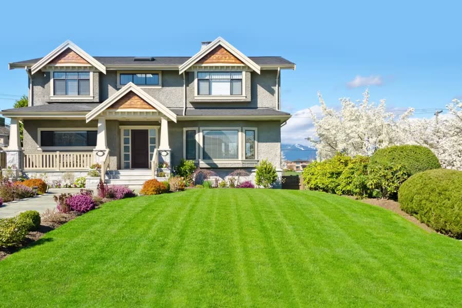 After lawn