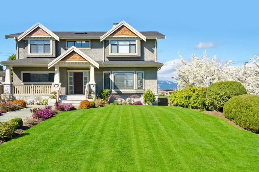 After: lawn care
