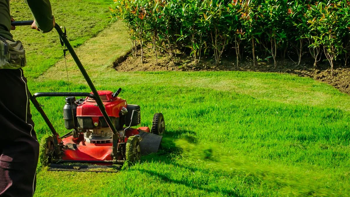 Grounds and Lawn Maintenance